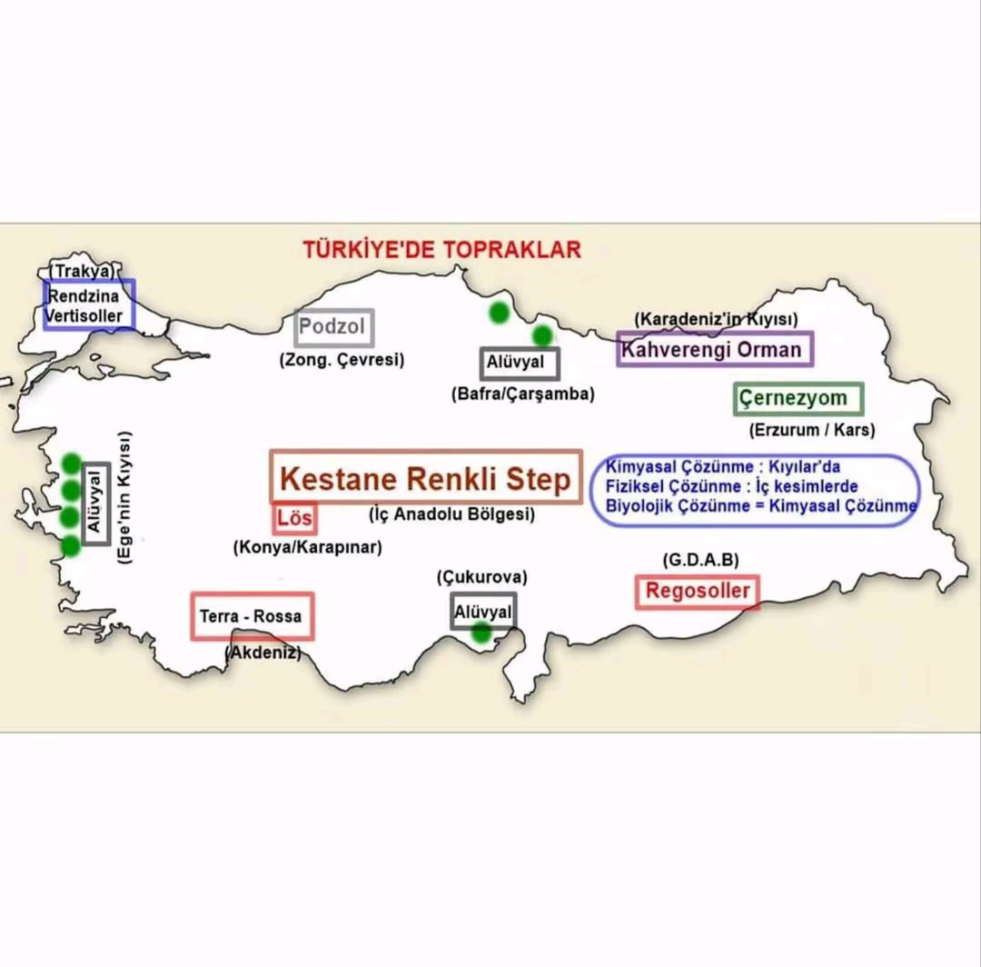 niss_yan's tweet photo. Bizim çalıştığımız orman çeşitleri ve topraklar...
ÖSYM'nin sorduğu orman çeşidi...
Longoz yaktın bizi.
#kpssönlisans https://t.co/CZimNwNaK9