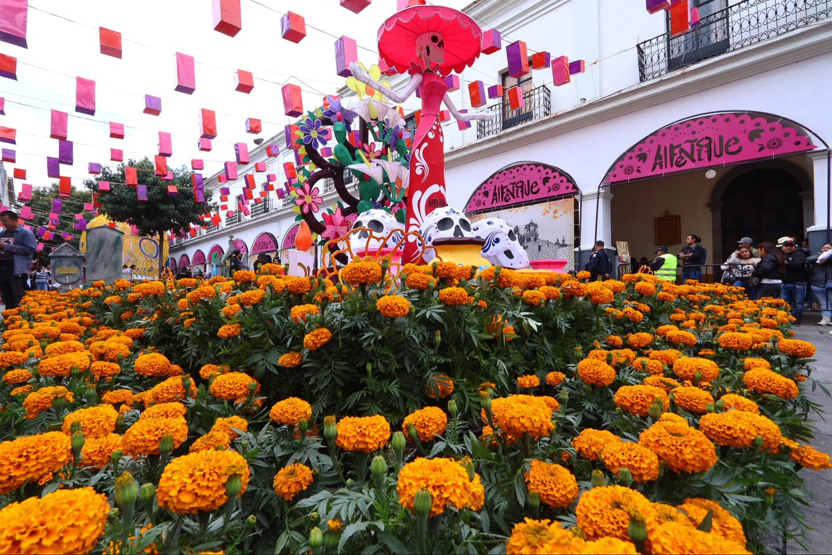 rimoba's tweet photo. 🎃🌼 ¡Toluca ya vive la magia de la Feria y el Festival Cultural #Alfeñique2026!

Hoy inauguramos una de nuestras tradiciones más queridas, que llena de color, música y memoria nuestros espacios más emblemáticos. https://t.co/XeLvAqHPHE