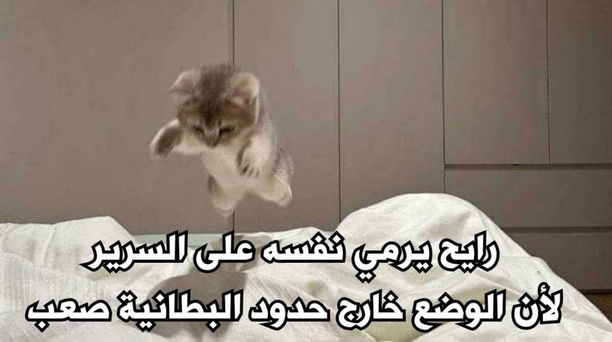 egymeme11's tweet photo. https://t.co/6z4pw25JfD