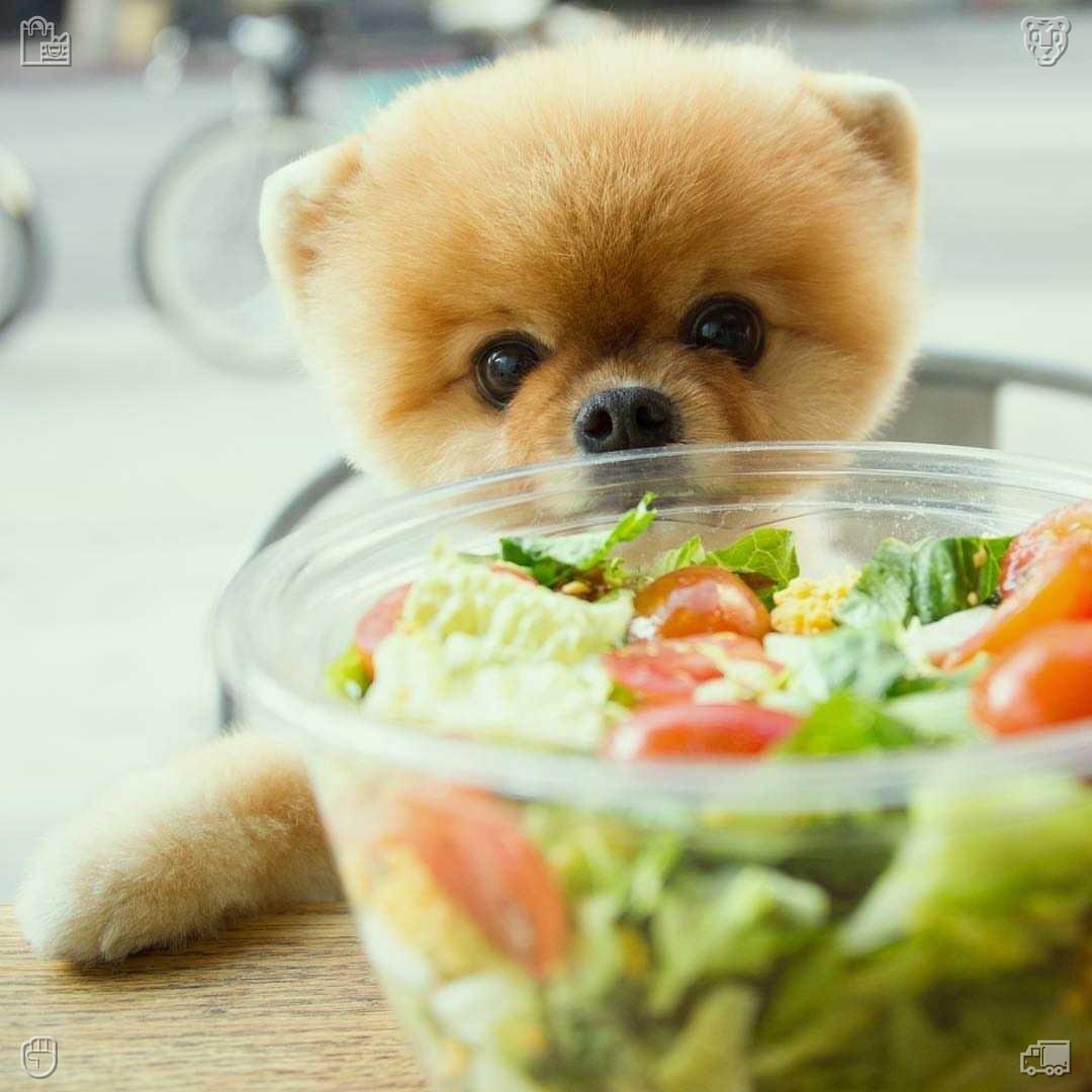 faatmmaaa's tweet photo. 🚵Darts with Friend The game is successful881477Buy vegetables Fresh cucumbers, salad will be good https://t.co/0OVX5qibiD