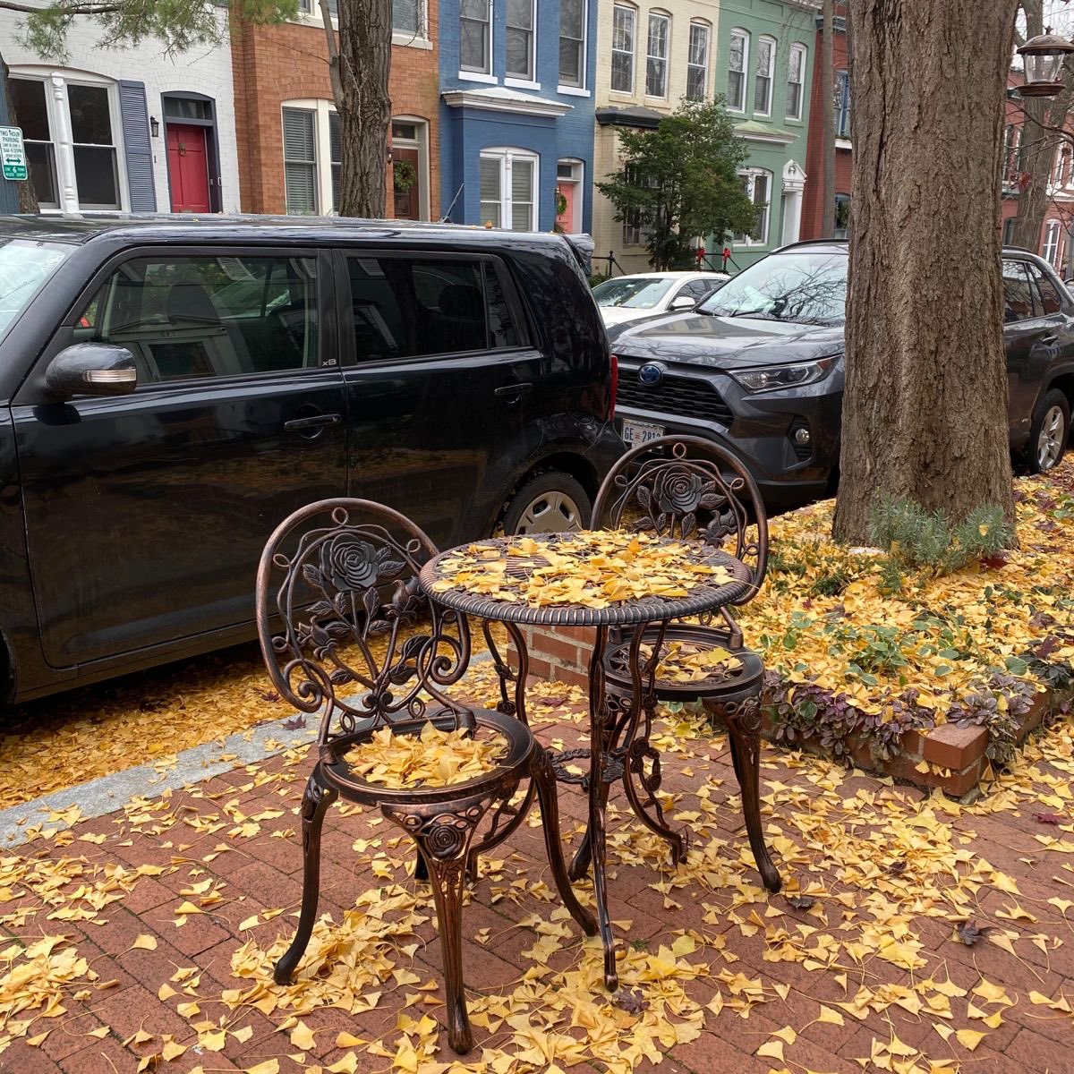h0neyndmilk's tweet photo. relishing this beautiful season while i still can https://t.co/dr8I4cOfai