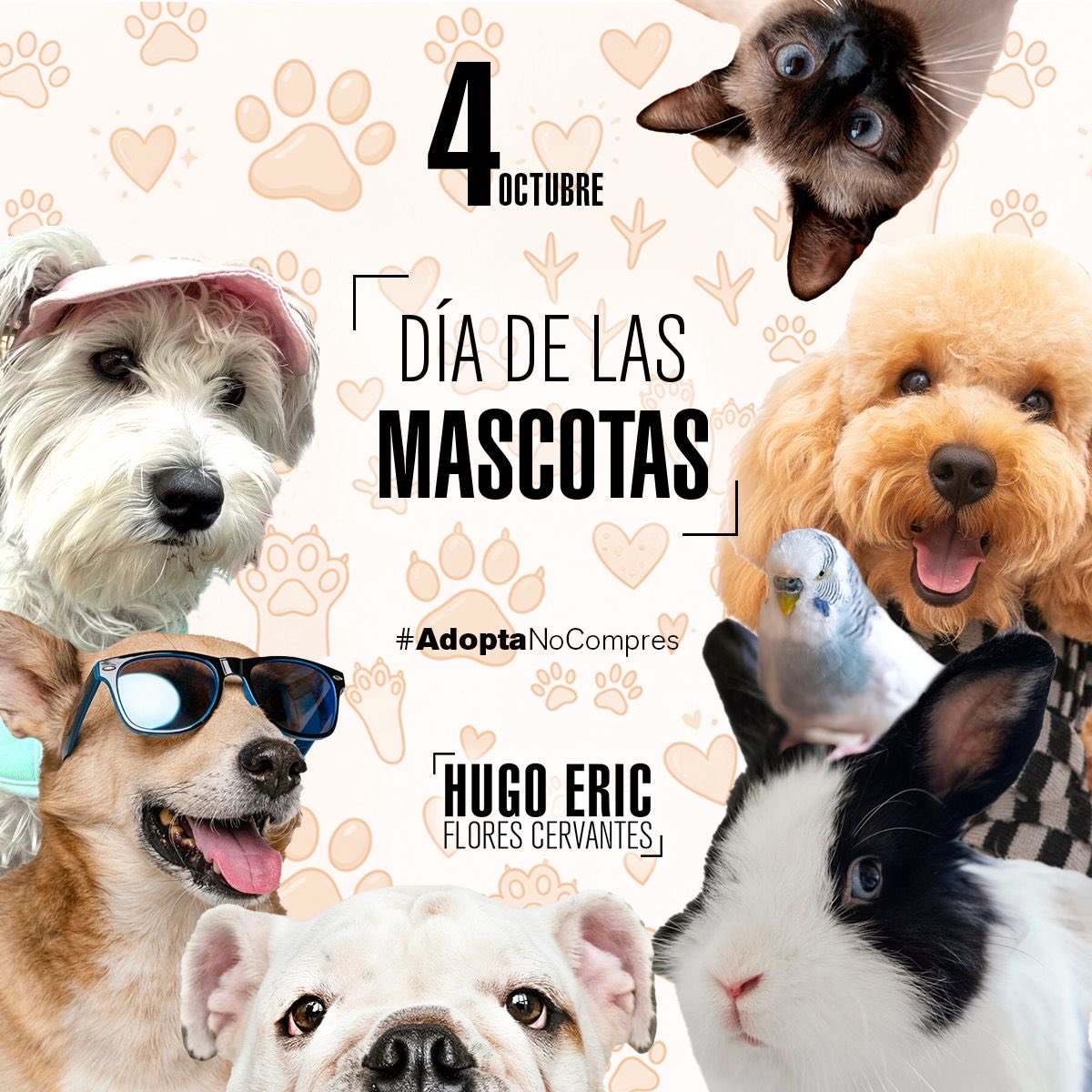 HugoEricFlores's tweet photo. Quienes tenemos la oportunidad de convivir con un animal sabemos cuánto cariño, compañía y lealtad pueden traer a nuestras vidas.

Cuidarlos, respetarlos y protegerlos también habla de la sociedad que queremos construir. https://t.co/w2PGLTUdnL
