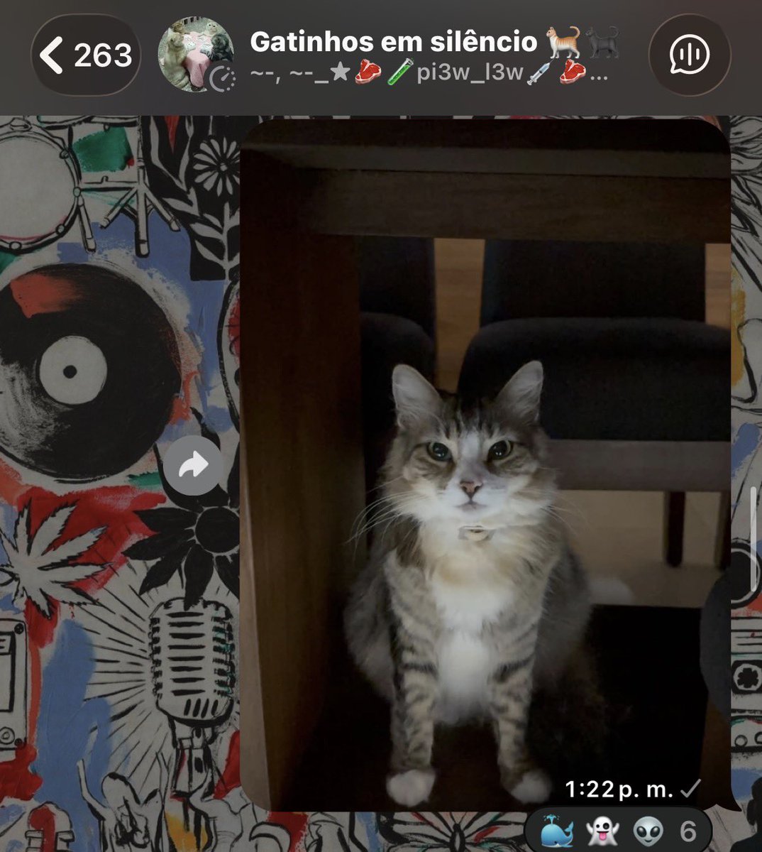 ivannaaagm's tweet photo. me meti a un grupo de gatos en silencio y no importa que foto mande, a mi gata le tienen q poner algo relacionado con su peso🥀 https://t.co/Uge1GvyVM2