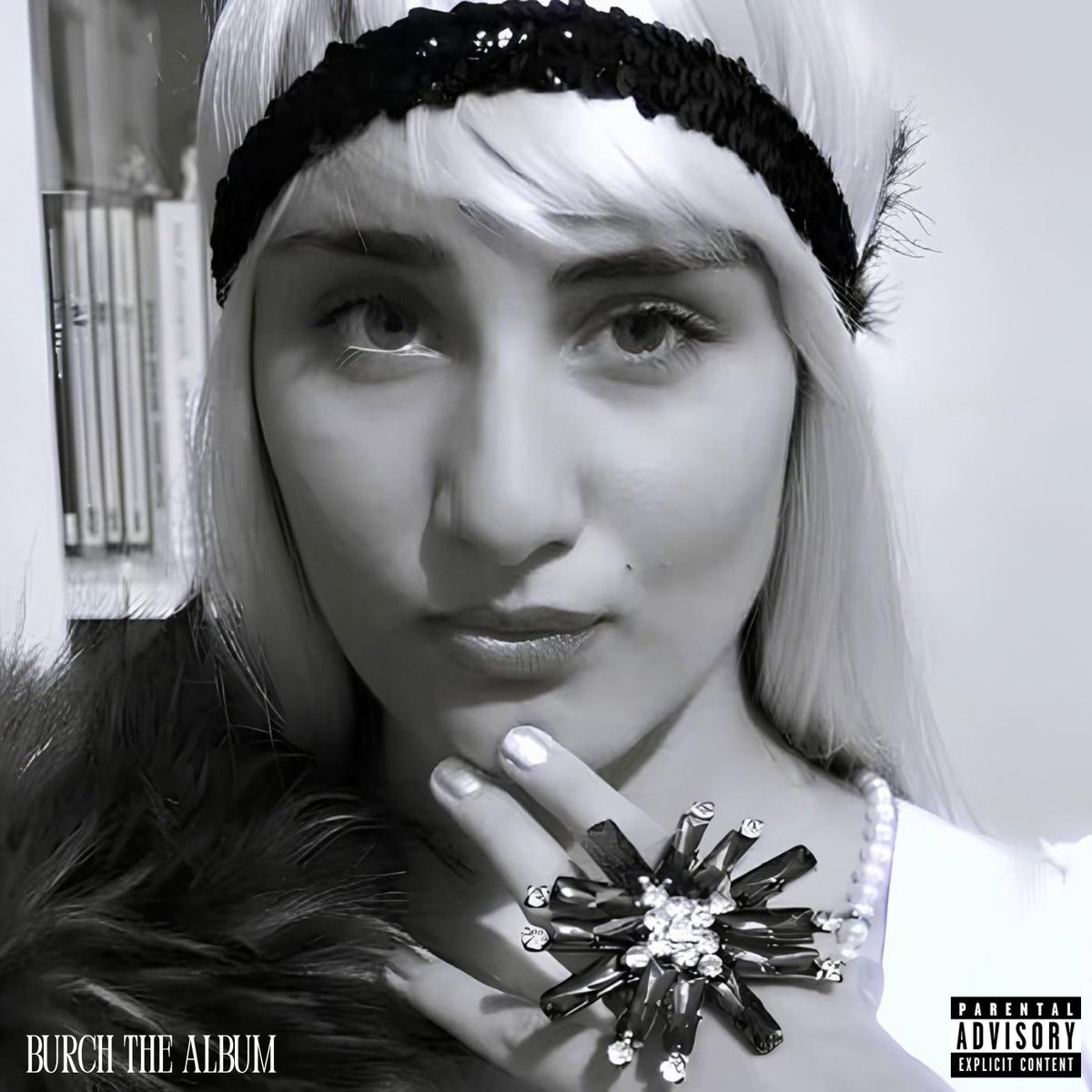 chromapetz's tweet photo. IRIS - BURCH THE ALBUM https://t.co/7mFcHTvecs