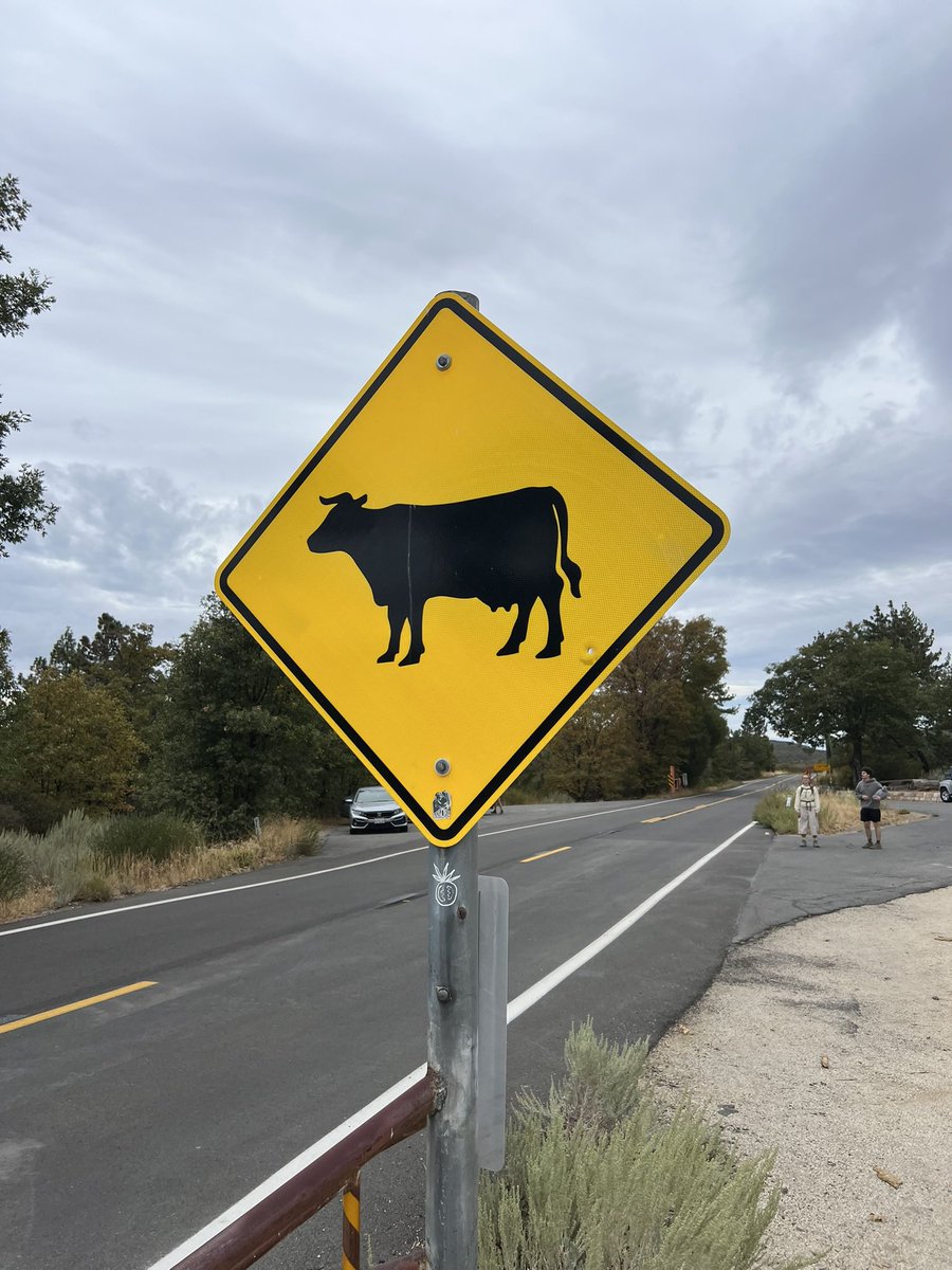 10derluvv's tweet photo. I want to steal this sign https://t.co/Rn5BG7aJB1