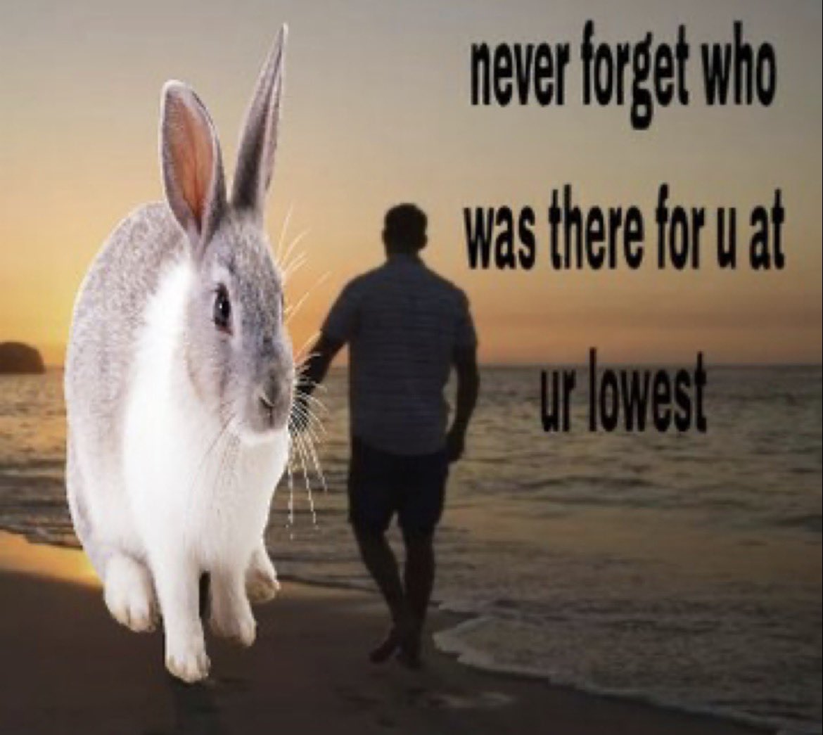 cupciky's tweet photo. my only real one. https://t.co/1O5SaKWbkG