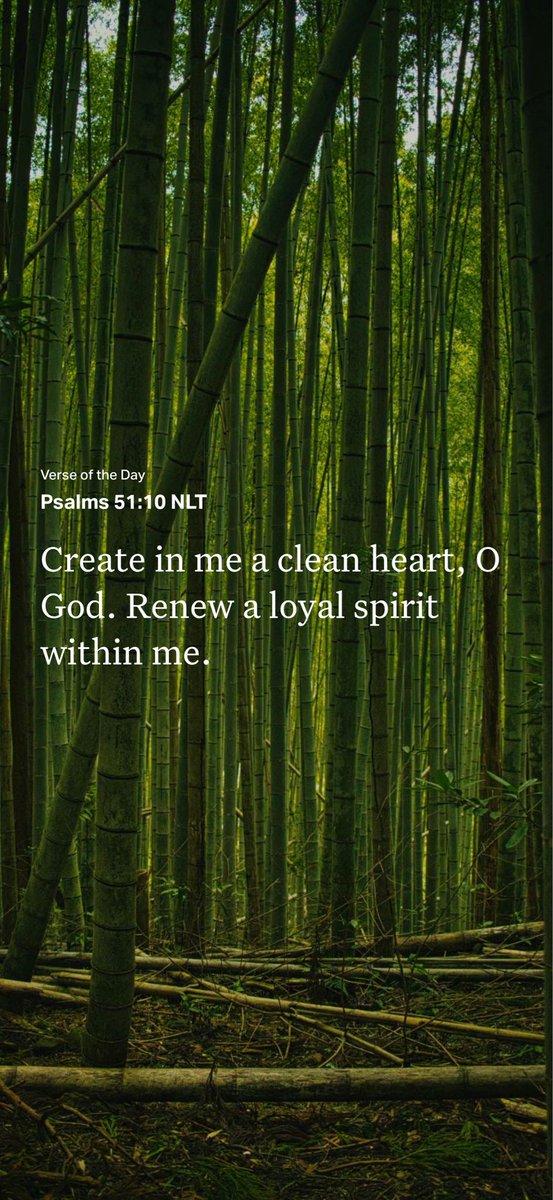 ryedog80's tweet photo. David wrote that after his biggest failure. Mistakes aren't the end of the story. They're where God does His renewing work. 🌱 https://t.co/R8gjeKT89s