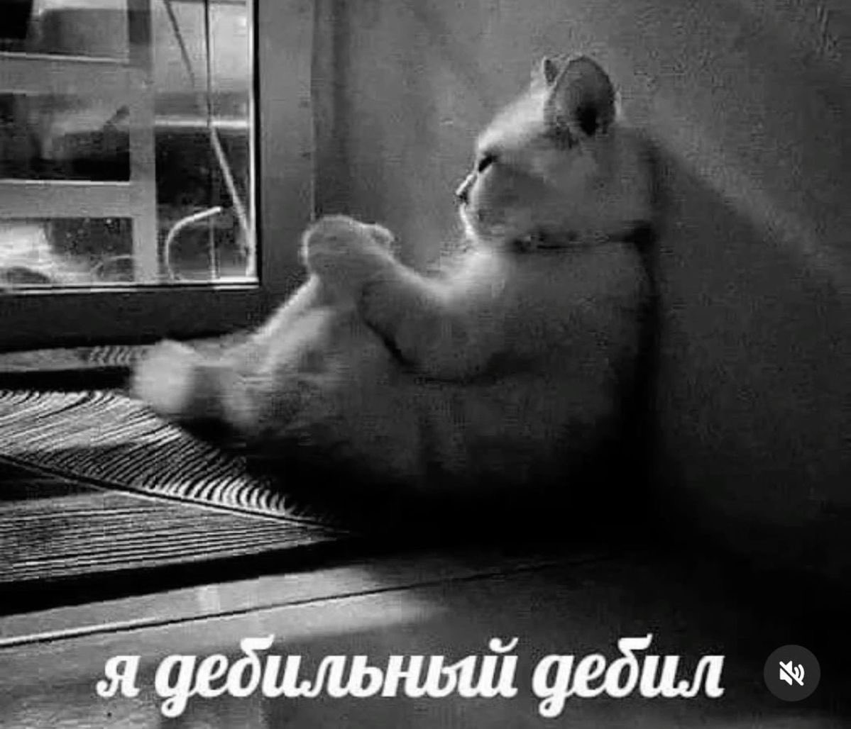 vilsensed's tweet photo. Я просто долбаеб. https://t.co/qX4O6ux27n