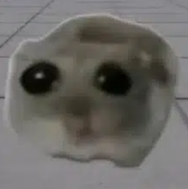 HALALDEPLOYER's tweet photo. irl version of the hammy meme>?>
https://t.co/TrFGAXXAwU https://t.co/WsLlJhsQw3
