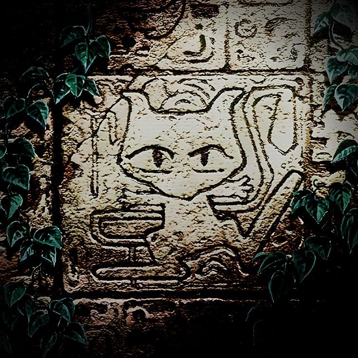 CollectorSelect's tweet photo. Mew https://t.co/LUoJhWUaLH