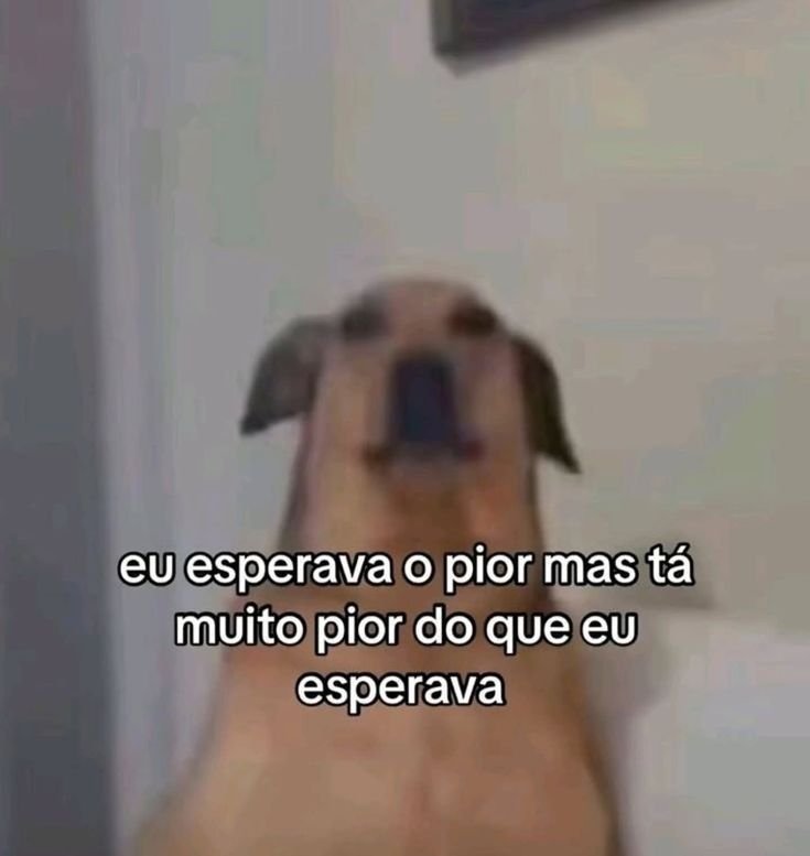 Dakara_San's tweet photo. NORDESTE SALVA A GENTE PELO AMOR DE DEUS 😭 https://t.co/WR6eUel6Kb