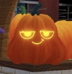 theveepumpkin's tweet photo. #veepumpkintwt https://t.co/CX4oiL7G0d