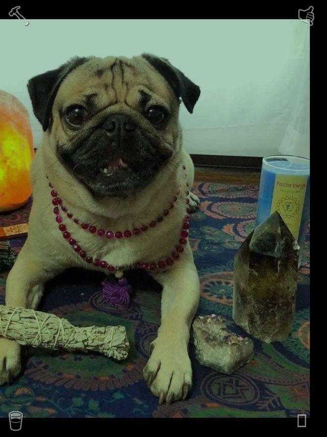 Gaipoigor's tweet photo. 🦈Shed cleaning Space is free, can dance!982286Fruit Delivery The delivery is free https://t.co/baDQbPwnlL