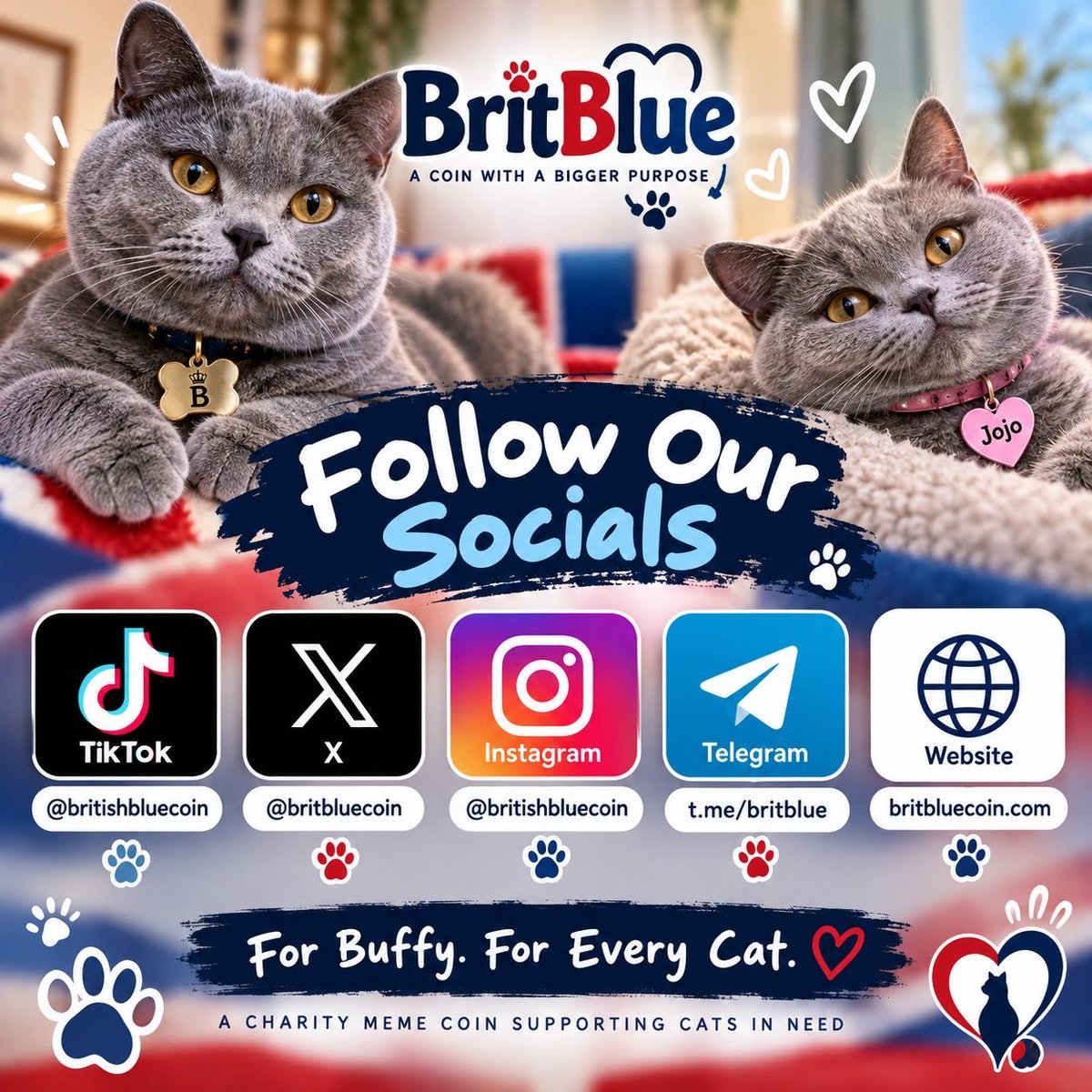 The_Only_Fouz's tweet photo. 🐾 ONE COMMUNITY. ONE MISSION. FOR EVERY CAT. 💙

The BritBlue pride is growing — and we want YOU with us. 🐱🔥

Stay connected, follow the journey, and never miss an update:

𝕏 : @BritBluecoin

Instagram: https://t.co/zs1gEIzTL5

TikTok: https://t.co/7cS374JBND

Telegram: https://t.co/s5ThGq1qfA

Website: https://t.co/BUnafnWKpW

From Barnaby & Jojo to the entire BritBlue community, we’re building something with a bigger purpose.

🐾 For Buffy.
🐾 For Every Cat.
💙 $BRITBLUE

Join the pride. 🐱👑

@BritBluecoin