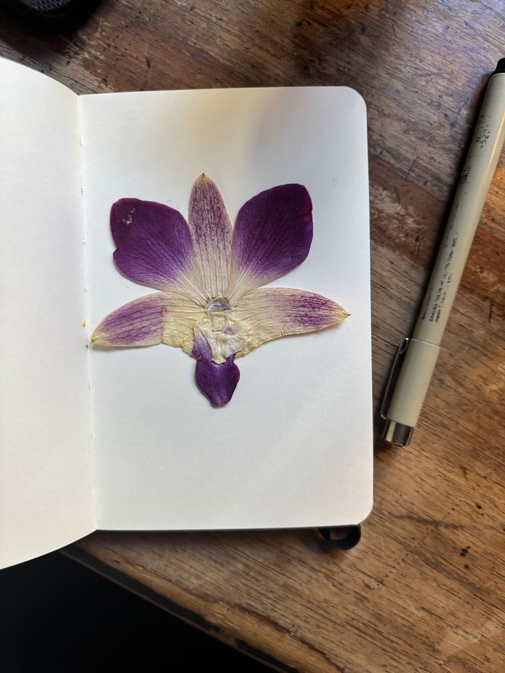 calmgloww's tweet photo. pressed flowers, kept forever 🌸 https://t.co/mTpymfFGyR