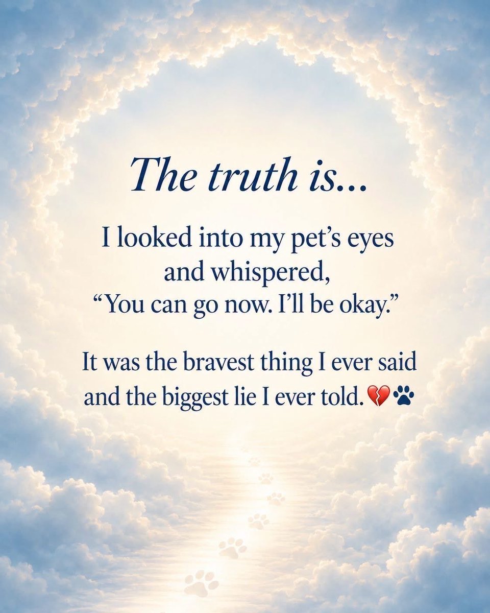 mobrien36's tweet photo. @BillMelugin_ I’m so very sorry Bill. Losing a pup takes a piece of your heart. I’ll keep you in my prayers. https://t.co/F9hcEAJ404