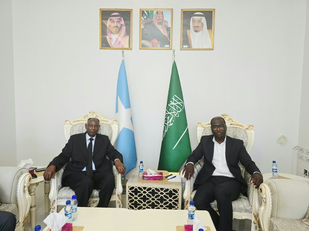 SomaliaMolsa's tweet photo. Somalia’s Minister of Labour and Social Affairs, H.E. Prof. Salim Alio Ibro, met Saudi Ambassador H.E. Ahmed Mohamed Almowallad to discuss job creation and employment opportunities for Somali youth, accompanied by MoLSA DG Abdullahi Hassan Aadan. https://t.co/DFkklNfwYk