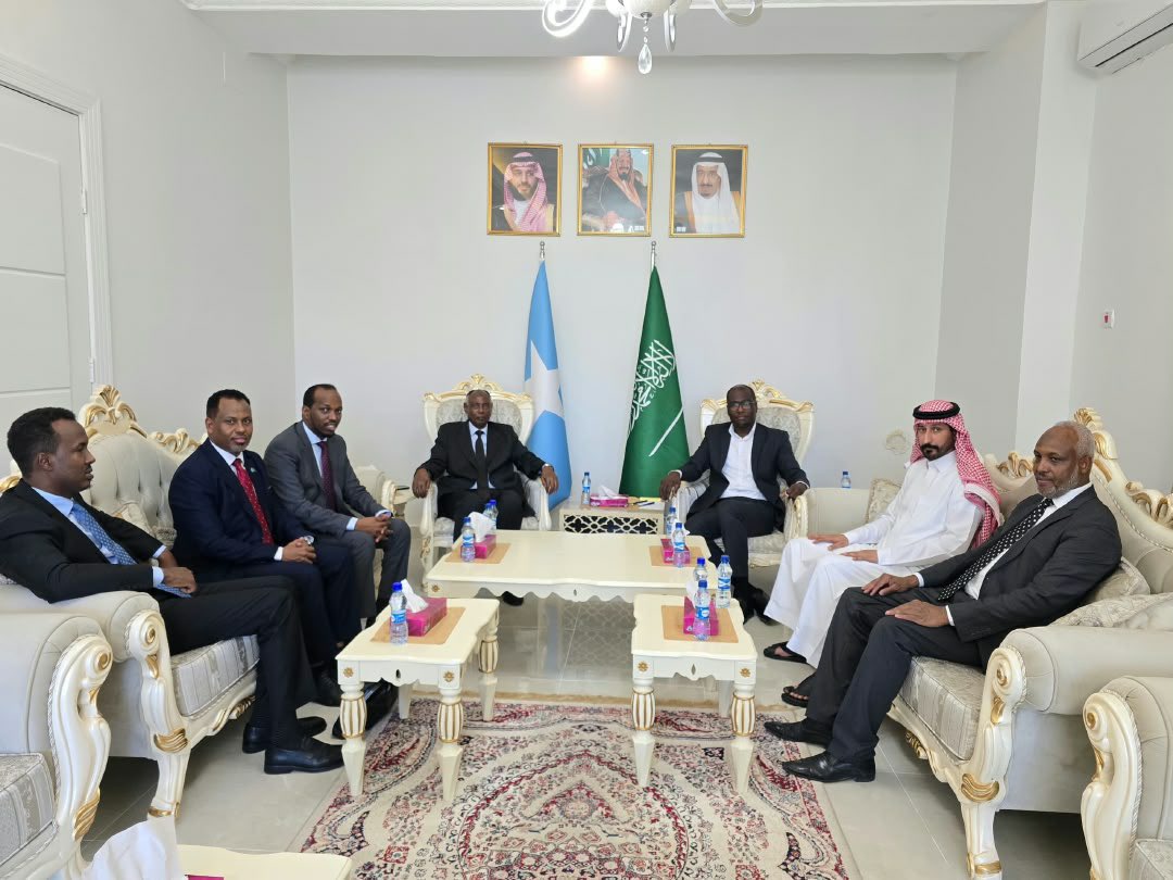 SomaliaMolsa's tweet photo. Somalia’s Minister of Labour and Social Affairs, H.E. Prof. Salim Alio Ibro, met Saudi Ambassador H.E. Ahmed Mohamed Almowallad to discuss job creation and employment opportunities for Somali youth, accompanied by MoLSA DG Abdullahi Hassan Aadan. https://t.co/DFkklNfwYk