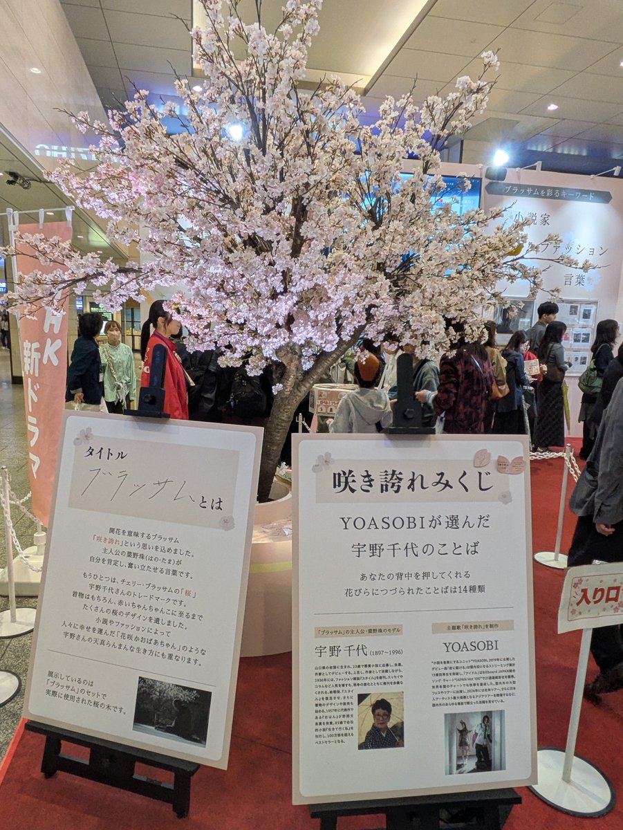 ROssanslove's tweet photo. 大阪梅田に話題の「桜とカナリアと清治」の桜が展示されてました！カナリアもこんなところにとまってた
クリアファイルもいただきました

40年ほど前「生きて行く私」って十朱幸代さん主演のドラマにハマってて宇野千代さんの本も色々読んでたので先週から始まった朝ドラ楽しんでいます

#ブラッサム https://t.co/o26rRwi3GJ