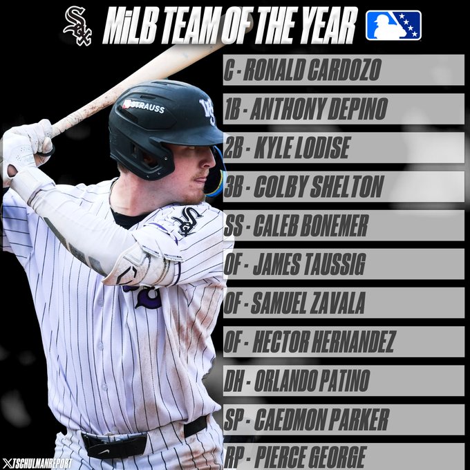 A graphic titled 'MiLB TEAM OF THE YEAR' for the Chicago White Sox lists position players including C Ronald Cardozo, 1B Anthony DePino, 2B Kyle Lodise, 3B Colby Shelton, SS Caleb Bonemer, OF James Taussig, OF Samuel Zavala, OF Hector Hernandez, DH Orlando Patino, and pitchers Caedmon Parker and Pierce George, alongside a photo of a batter.