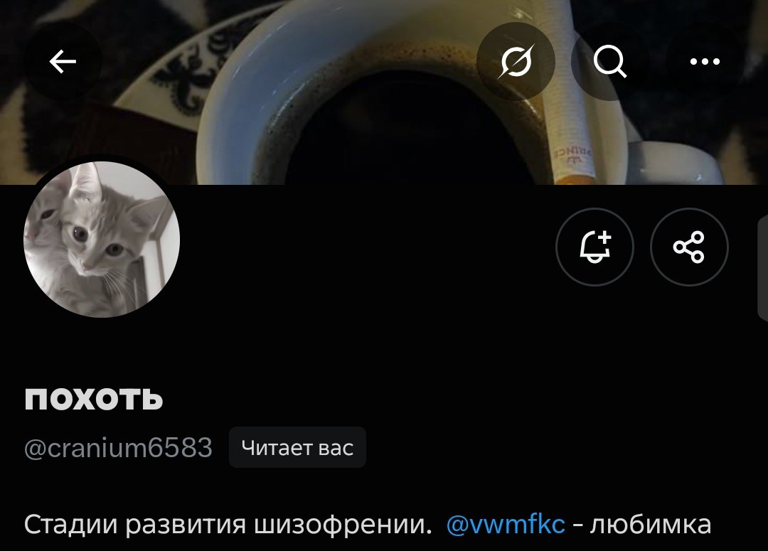 vwmfkc's tweet photo. Ути бозе @cranium6583 https://t.co/8trJQipTDw