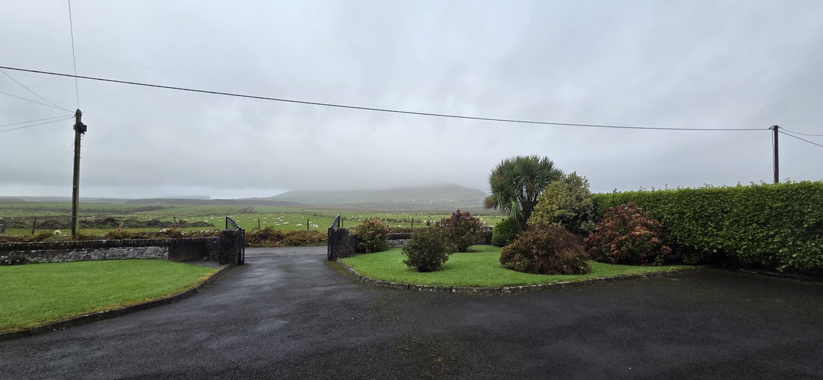 fitzyok's tweet photo. Maidin gruama fliuch ceóbhránach inniu(gloomy,wet misty morning). An aimsir tirim i Stáid an Ghearaltaigh(dry weather at Fitzgerald Stadium) Bua iontach(great win) ag @AnGhaeltacht💪💪 Béile deas lacha(😋 duck dish). #gentengthaikillarney
#365daysofGaeilge
#365daysofwalking https://t.co/58bcxkKOE5