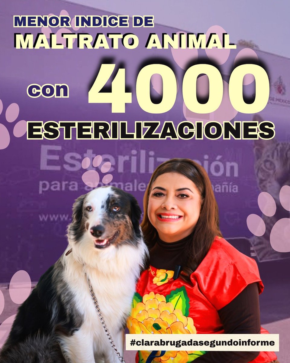 aparicio82785's tweet photo. En el tema de maltrato animal hoy en día es un tema delicado el cual la ley ya castiga a los maltratadores de los animales 
#CiudadQueCumple
#ClaraDaResultados https://t.co/C7D6kcROeA