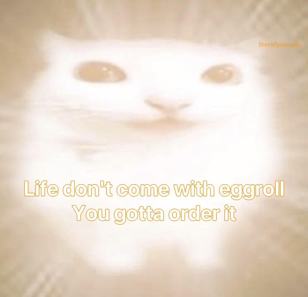 literallymecats's tweet photo. https://t.co/jin0QEcRrU