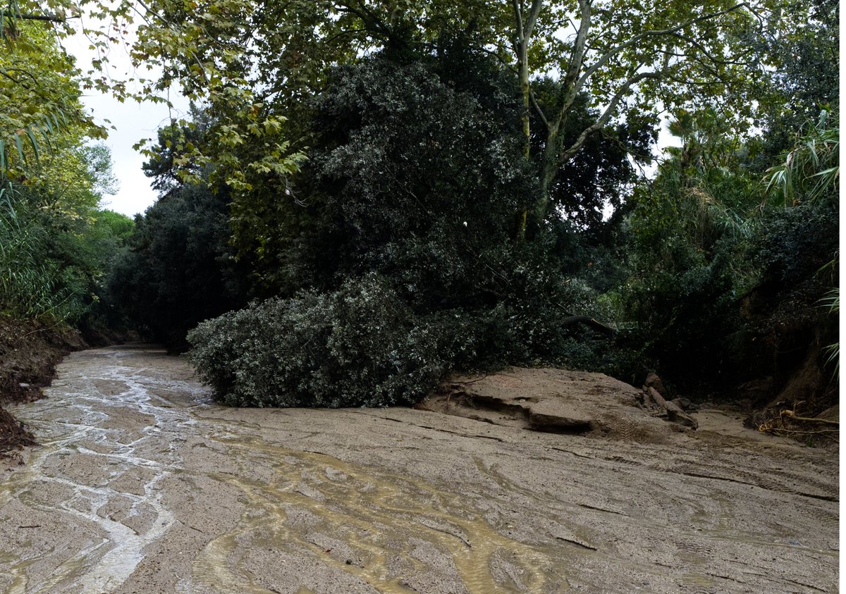 MeteoAdM's tweet photo. #Bonanit des de la part alta d'#ArenysdeMunt Alguns dels desperfectes que hem tingut a la Riera de Sobirans després dels 205,5 l/m2 caiguts entre ahir al #migdia i fins a quarta de 7 d'aquest #matí (173 l/m2 caiguts entre les 00:00 i fins al quarts de 7 del #matí) 👇 https://t.co/Fq8V7BxGWp