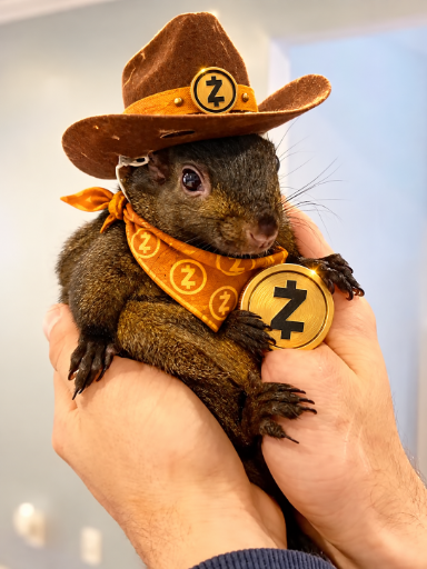 SpinnWheelSOL's tweet photo. @Zcash May you eat all the nuts in heaven little pnut https://t.co/glVY7ZWs70