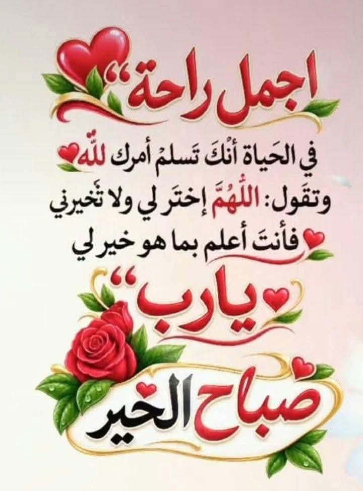shmoghmohamed's tweet photo. https://t.co/Jdpo03i1C5