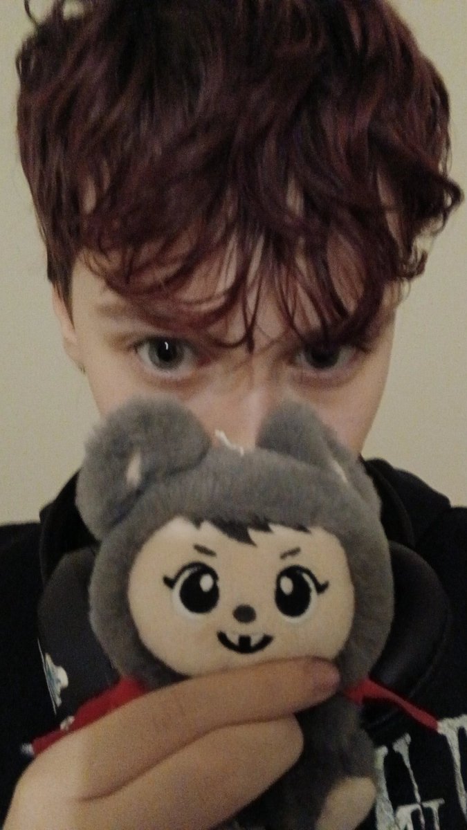 InabberMarriott's tweet photo. @_minimazza @JamesMarriottYT @moremarriott I got a vampire plush yesterday and called him James https://t.co/DtyXCAxfcu