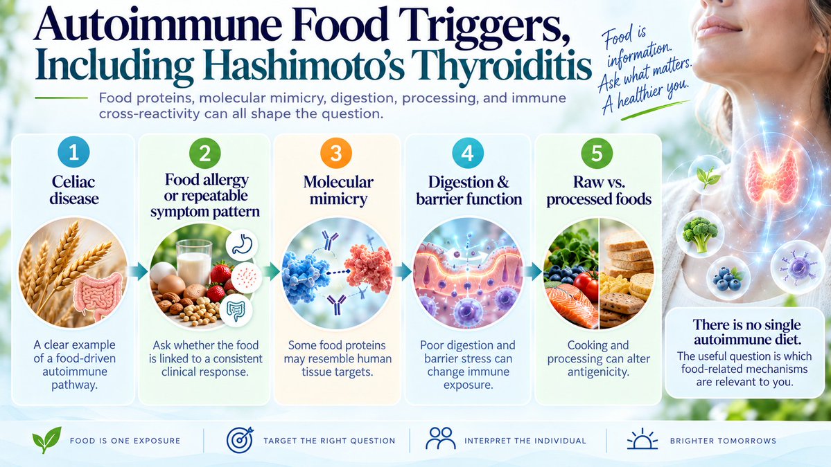 shookdc's tweet photo. Can food contribute to autoimmunity?

Yes. But "which foods should everyone with Hashimoto's avoid?" is the wrong question.

The better question is: Which food-related mechanisms are actually relevant to this person?

A short thread. ↓ https://t.co/PhpWA4qYaa