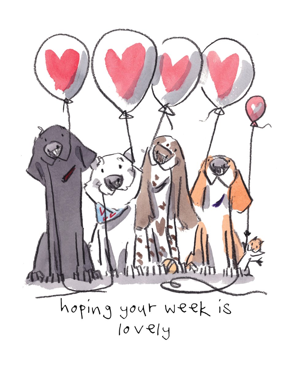 iaindwelch's tweet photo. Good night, lovely people and lovely dogs.
The team hopes that your week is lovely.
Sleep well and sweet dreams.
I am wishing you the very best for the week to come. 
#hoorayfordogs #labrador #westie #springer #beagle #redsquirrel https://t.co/IyUCvnDWkr
