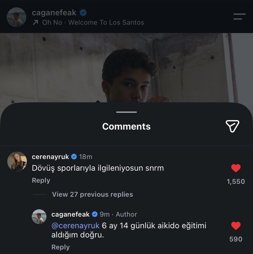 hayvehayda's tweet photo. onlar arley’den daha iyi flörtleşiyor bana onları verin 
#arley https://t.co/Gx0C4CVJVW