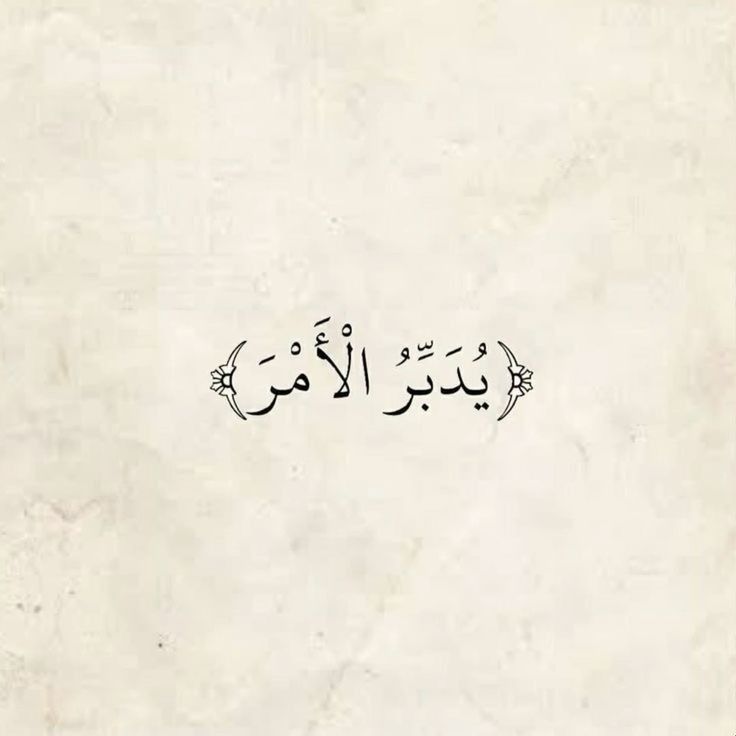 Al_Muslimi1's tweet photo. https://t.co/nqnPqzdQEA