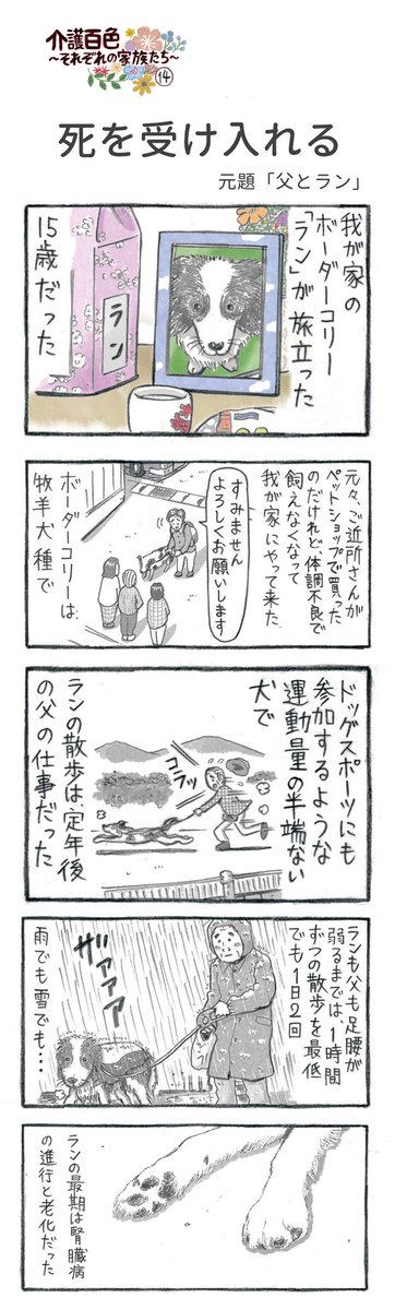 pekonatsudou's tweet photo. 20 年ほど前、私の実家の伯母が突然亡くなって（老健に入居していた伯父に毎日のように会いに行っていて、老健の玄関先で脳内出血で倒れて）、伯父を連れて帰るかどうかという話になりました。
認知症とパーキンソン病、意思疎通もあまりできず、身体的にも移動が厳しい感じ。子どもはいません。
「これで寿命が縮まったら、伯母さんが連れて行ったんだよ」と意見がまとまり、一時帰宅してもらいました。
伯母さんを見た瞬間、別人のようにしっかりした顔になりました。そこからしばらくは、施設に戻ってもしっかりした感じだったそうです。そして8年後に旅立ちました。

この漫画は、介護百色 14話 『父とラン』を加筆修正したものです。

●『介護百色～それぞれの家族たち～』（アルタ出版）

https://t.co/W5ivfjjVRt

●『(マンガ版)認知症の人、その本当の気持ち』（KADOKAWA）　

https://t.co/dSTiCUto6W

アマゾンなどで発売中

#在宅介護　#介護　#認知症　#犬