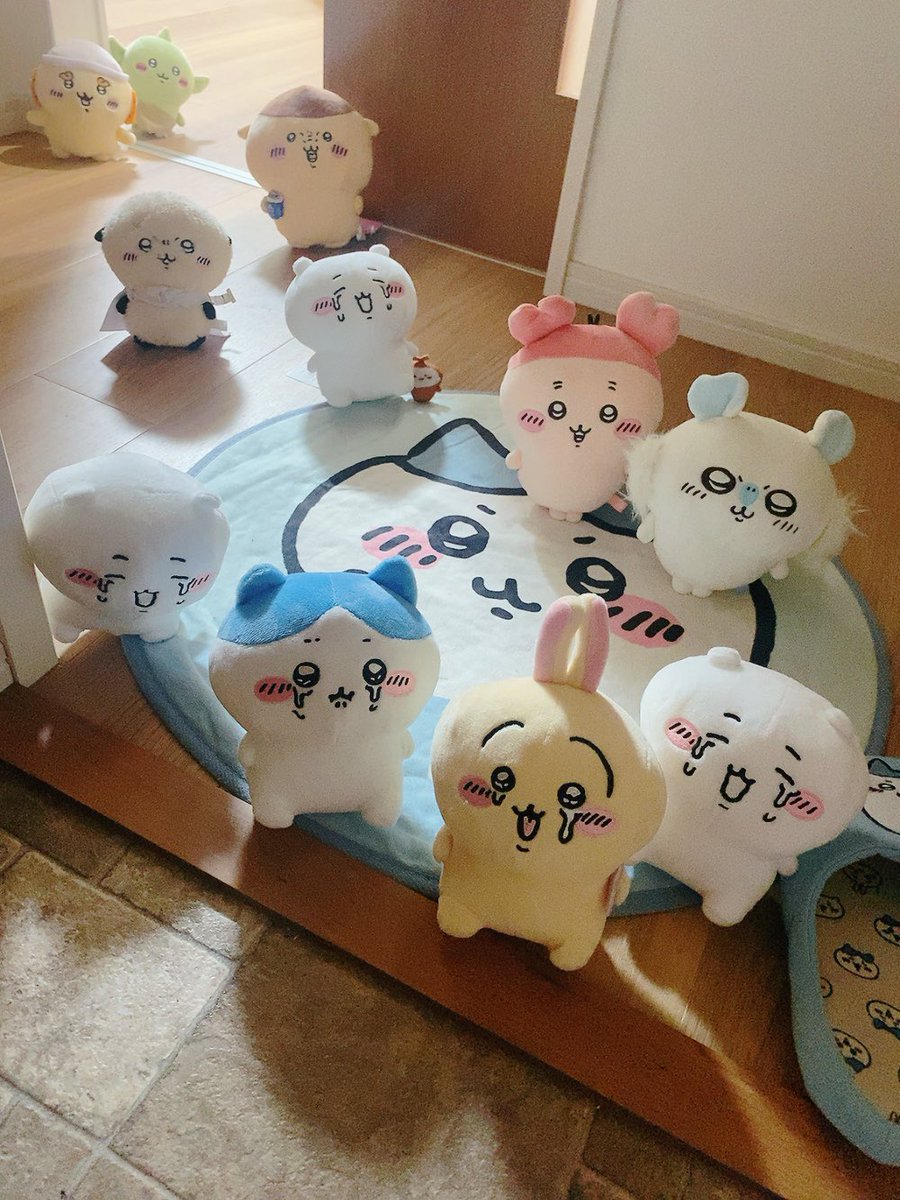 kantikin's tweet photo. いってらしゃい！！！！ https://t.co/zkDvzWb9Rt