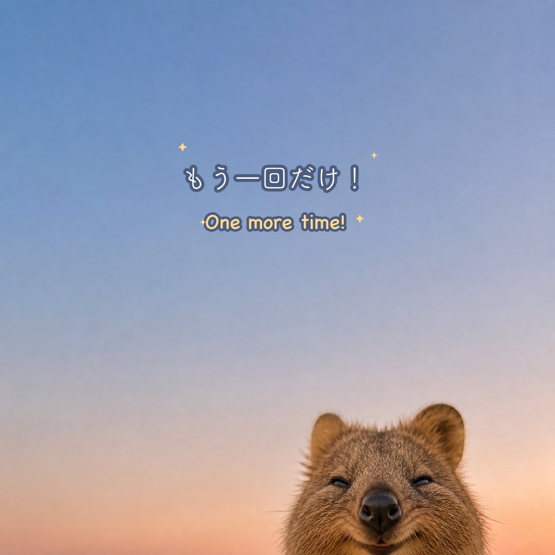 KU_CHAN_QUOKKA's tweet photo. 🐿️「Can you please swipe?」#quokka #クオッカ #名言 #quotes #ハンジソン https://t.co/ZzmqM9Vwac