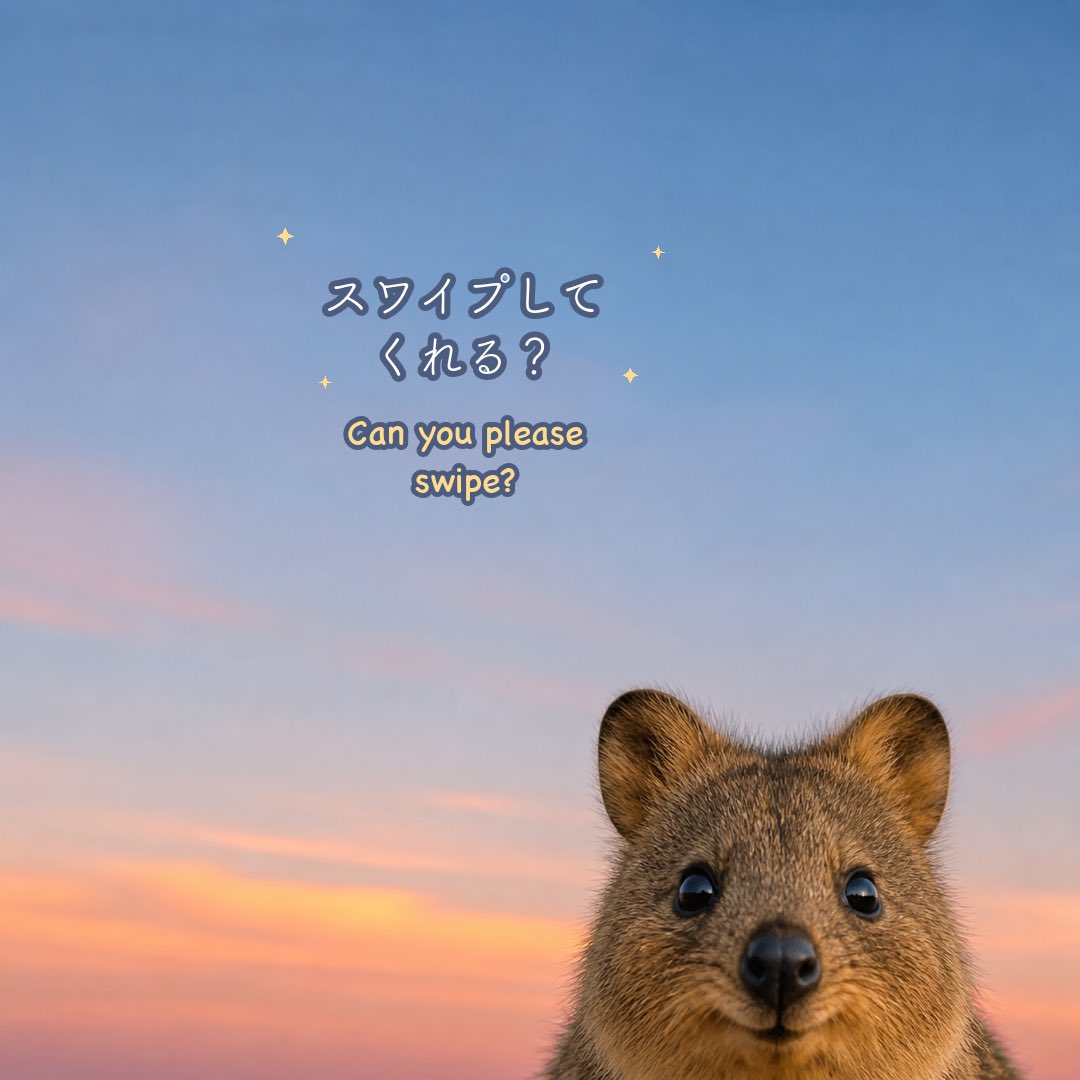 KU_CHAN_QUOKKA's tweet photo. 🐿️「Can you please swipe?」#quokka #クオッカ #名言 #quotes #ハンジソン https://t.co/ZzmqM9Vwac