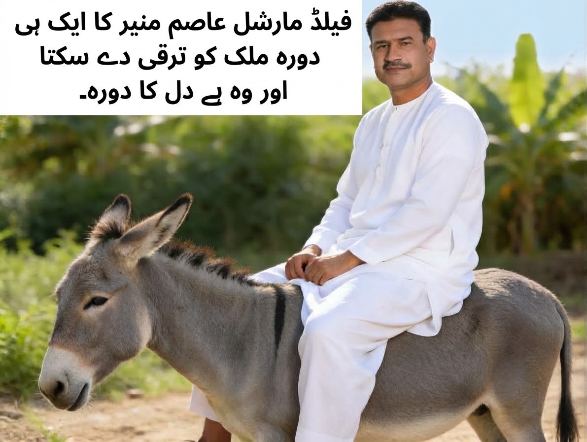 HamzaAli391322's tweet photo. @MShehzadSpeaks https://t.co/z1EMCwk42j