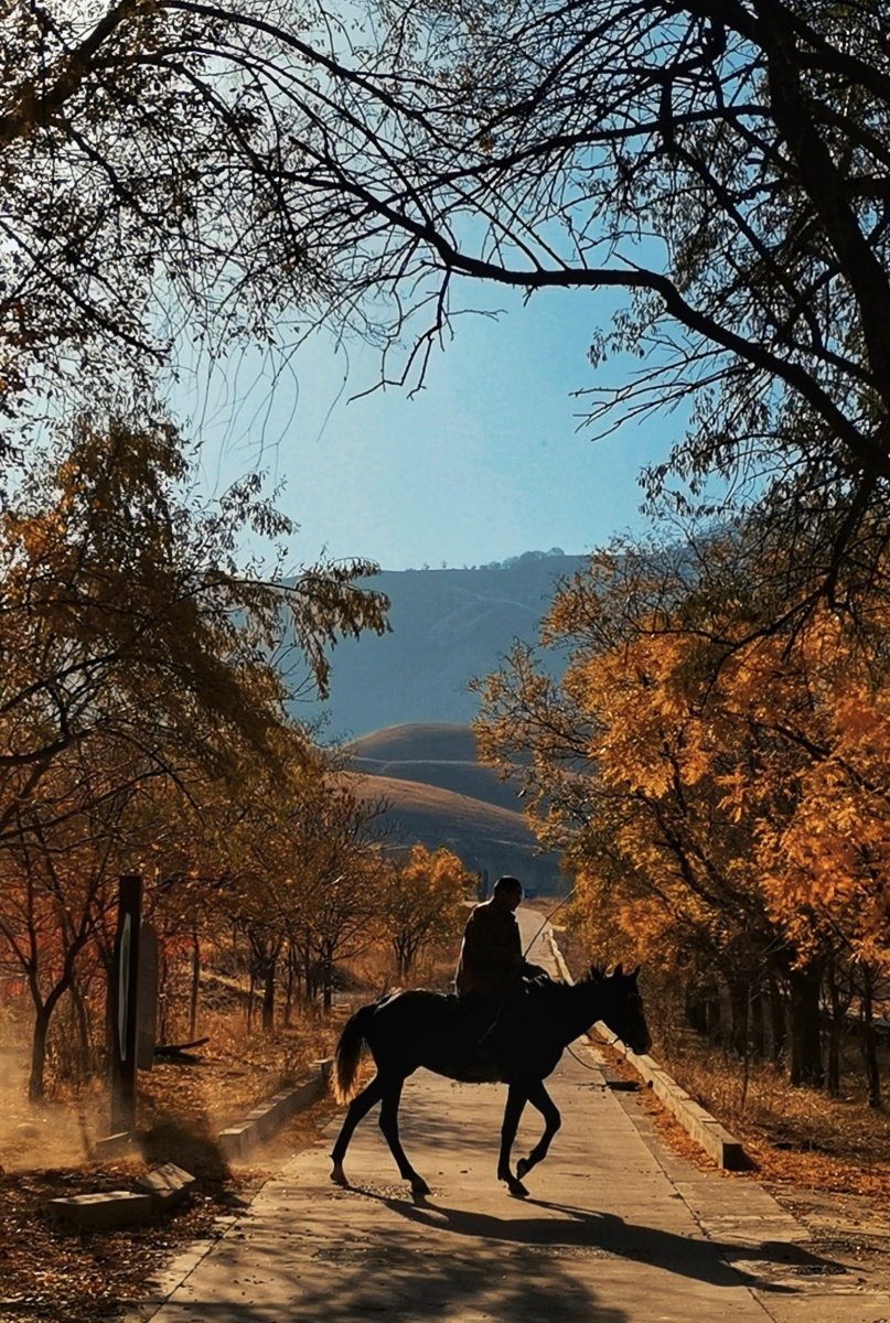 sweet19x4's tweet photo. Standing at the mountain trail in early autumn, I touch the horse’s mane with a calm heart, ready to explore the new step and learn the book I picked up. https://t.co/Zy9lqFVgR3