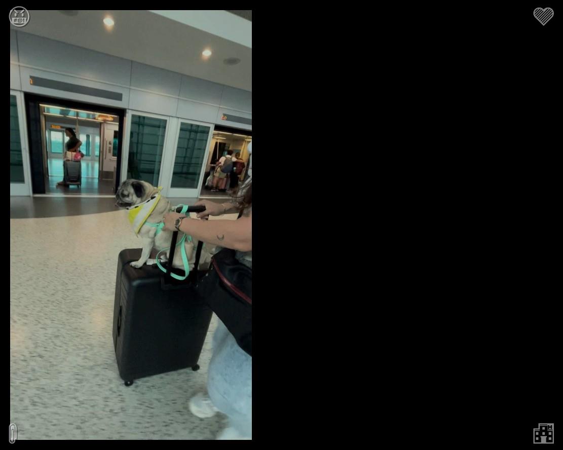 Mochi_Th95's tweet photo. Lila’s next destination was Madrid, where the air was filled with the scent of tapas, paella, and churros. She checked into a small hotel in the city center, eager to experience the city’s lively culinary scene.🎡Funny children's adventure book https://t.co/Fr6wdmw3I7