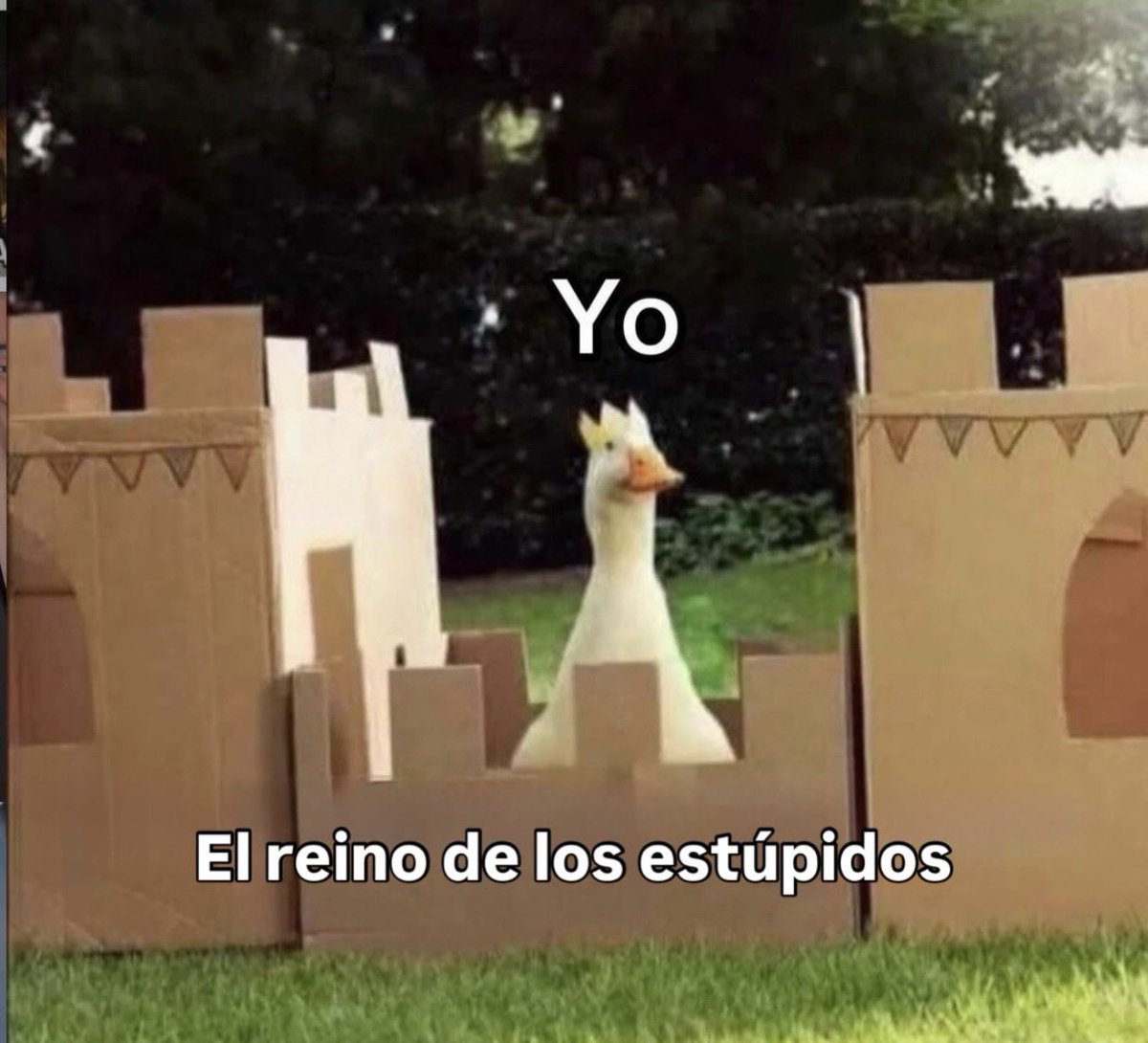 conoloracigarro's tweet photo. https://t.co/EehpxTpx2Z