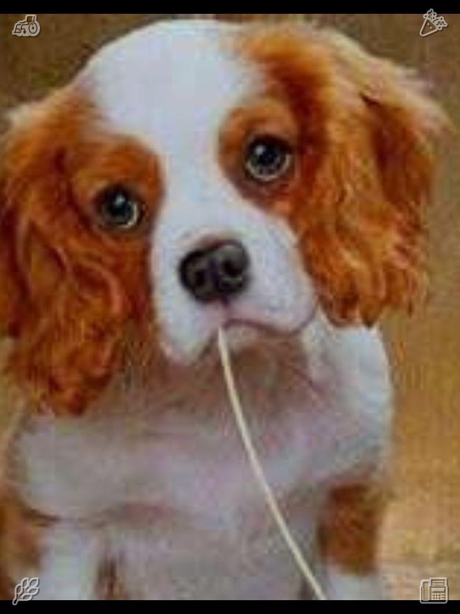 Carretone's tweet photo. By the end of the week, Lila had visited three more shops: “Boba Bliss,” a cozy little spot with homemade pudding toppings; “Tea Time,” a modern shop with matcha bubble tea that had a rich, earthy flavor; and “Sweet Sips,” which specialized i👐Garage cleaning Free, parking https://t.co/35EloVtiIJ