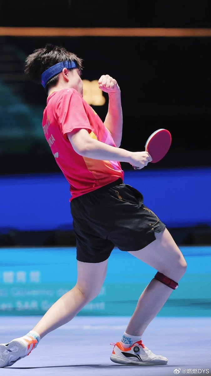 EmersonKinrn's tweet photo. [Un tenaz peso húngaro jugando al ping pong] https://t.co/eLr6QJ264X