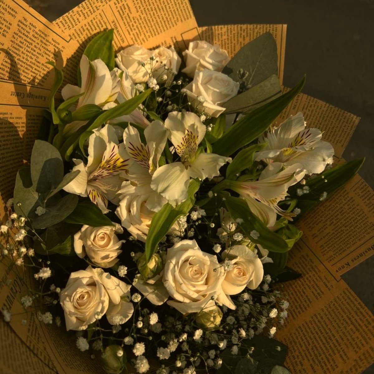 naikilondra's tweet photo. día 8 publicando flores hasta que salga jpt https://t.co/twUUvTzqfX