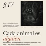 Photo by Observatorio de Violencia hacia los Animales (@ViolenciaObs)