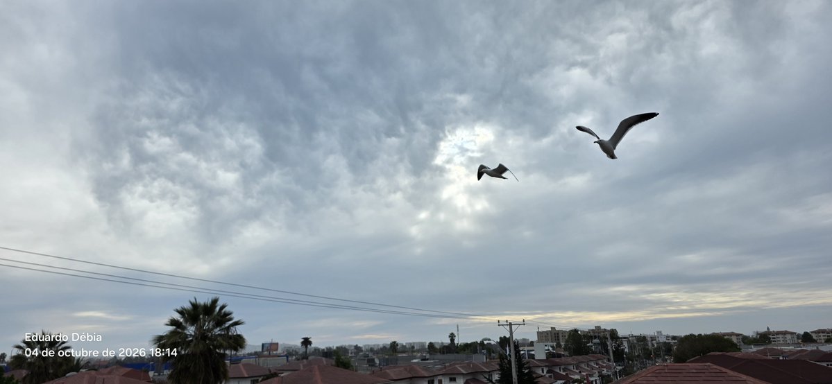 DebiaEduardo's tweet photo. Despidiendo la tarde #LaSerena https://t.co/Kt7WClTIZ1