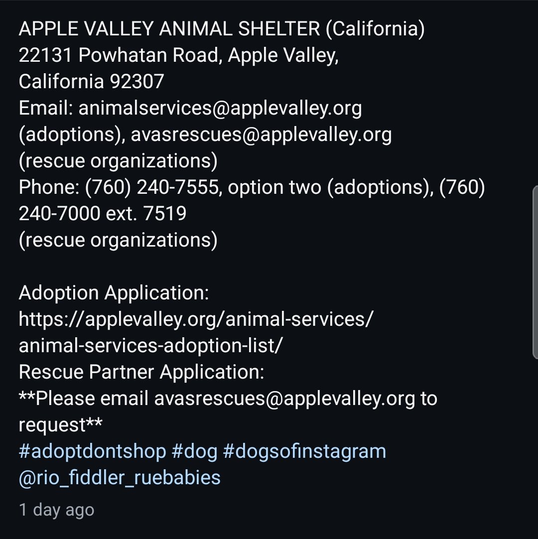 itsadogslifersq's tweet photo. MELVIN #260905
BELGIE #260904
10mo. #germagepherd
📍#AppleValley #SanBernardino #CA
Sweet puppies.
Melvin stormy & energetic.
Belgie quiet & calm.
Both will benefit from structure & puppy training to learn the basics.
Melvin on this week's kill list.
https://t.co/gioZaZx6eI https://t.co/9rEeYR5o73